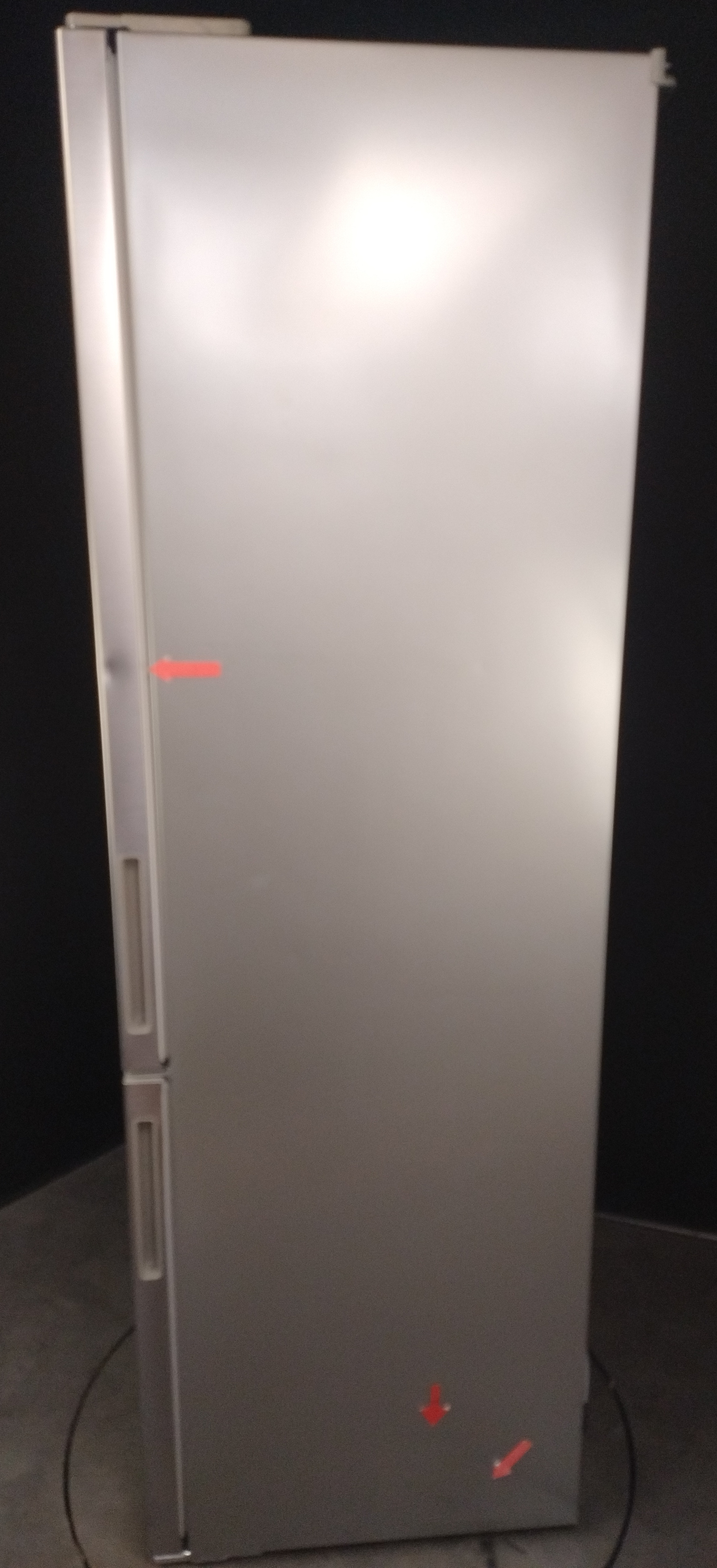 Bauknecht KGNF 406 C